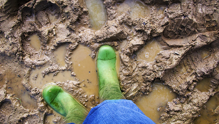 国土安全,土地流转