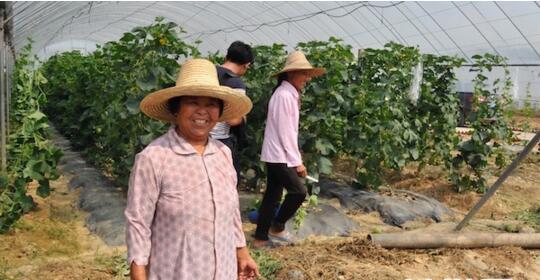 走转改,经济日报,上了网,贫困户,农副产品,采摘,王国强,观光,现代农业,村民