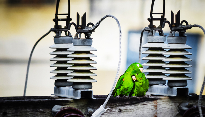 山西煤企将获供电售电资质