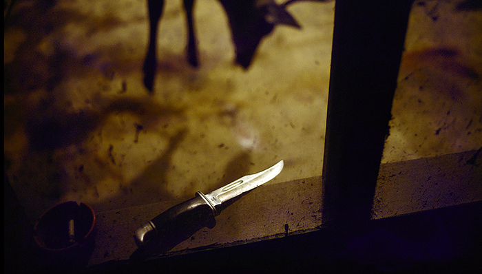 命案告破的那天晚上,我在白银市