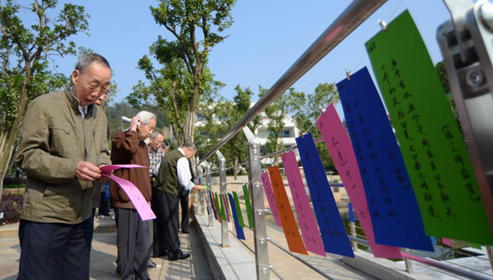 合肥,居家养老,诚信,身份证,领导,买房,校园,性骚扰,地图