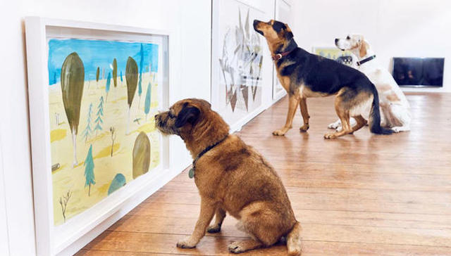 来看看史上第一个专门为狗狗办的现代艺术展