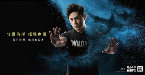 野生救援,周杰伦