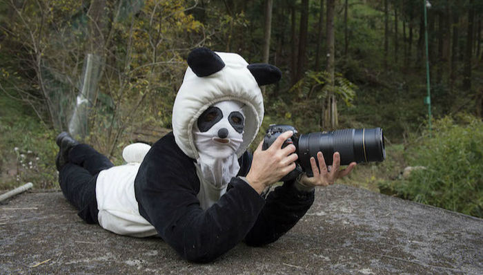 大熊猫,卧龙,动物保护