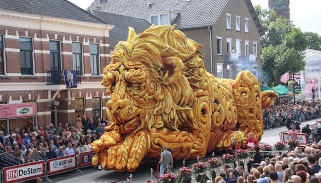 荷兰,花车,花雕