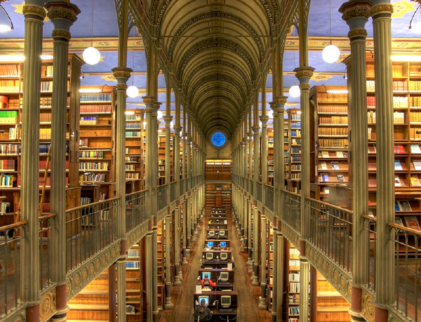 哈佛大学,图书馆