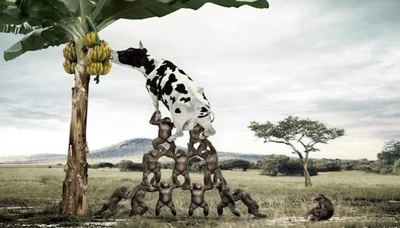 巴纳德,法约尔,泰勒,梅奥