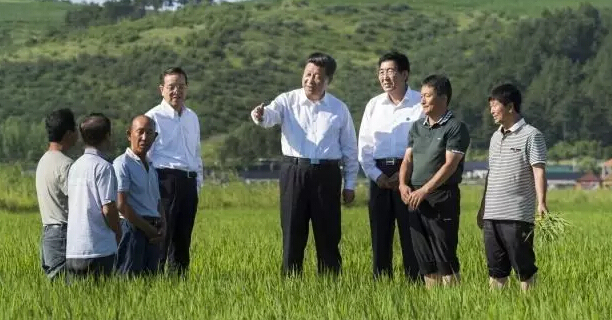 习近平,十三五,手机号,总书记,5,结构性改革,四个全面,从严治党,10,人民日报