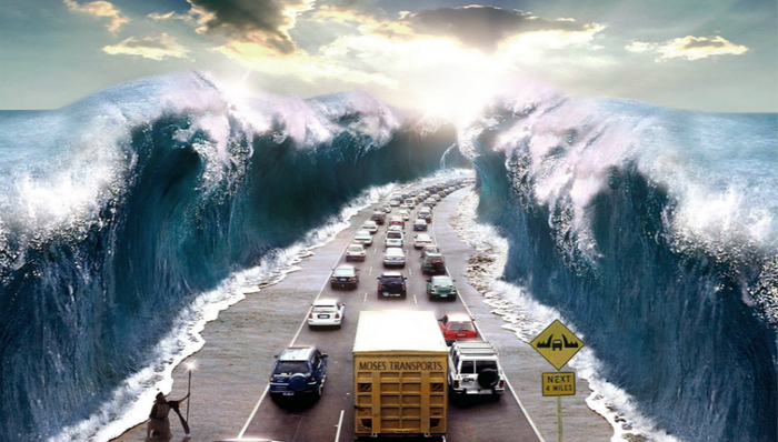 特斯拉,Facebook,Airbnb,微软,谷歌