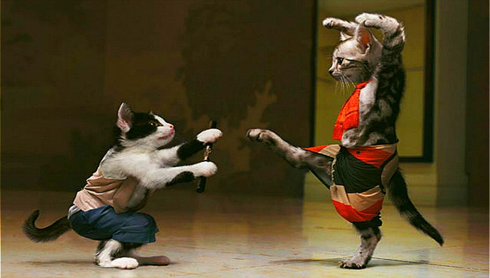 基业长青,领导力,古德里奇公司,联合技术公司,富士胶片,IBM,埃克森石油公司