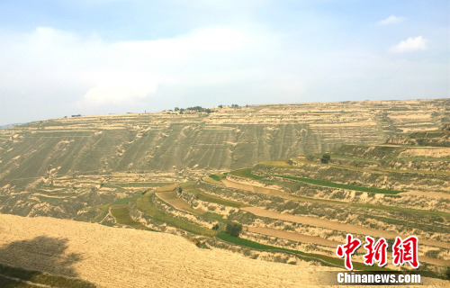 道路两旁的梯田。中新网 种卿 摄