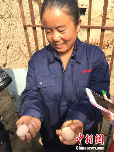 高俊霞展示鸡蛋。中新网 种卿 摄