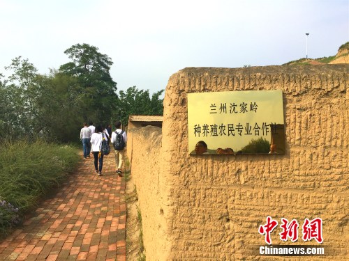 兰州沈家岭种养殖农民专业合作社。中新网 种卿 摄