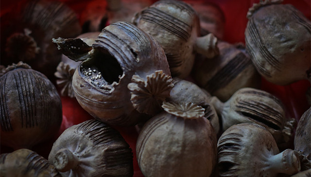 食药监总局,罂粟壳,火锅,麻辣烫