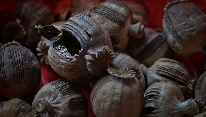 食药监总局,罂粟壳,火锅,麻辣烫