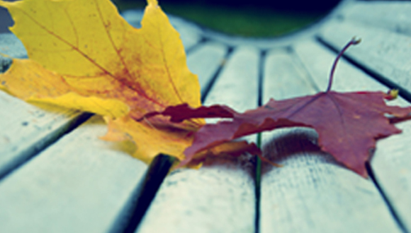 秋分滋补 | 特别的膏方给特别的你