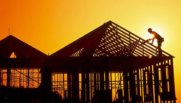 深圳,鸽笼房,重庆,房地产,企业,,军训,教官,表白,诈骗村,生意,毒包子