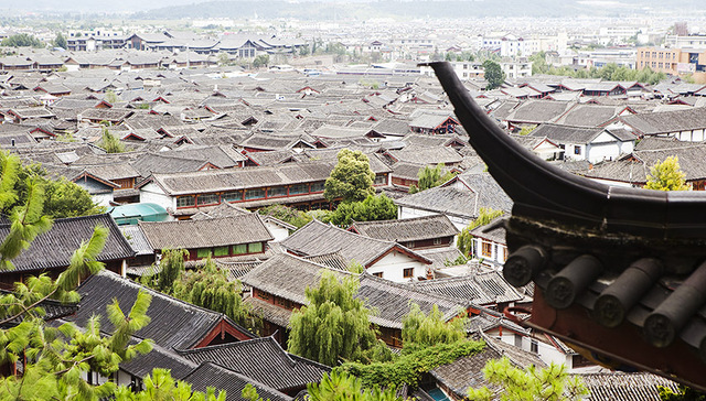 张一卓举牌丽江旅游