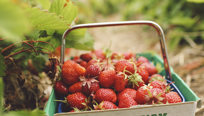 中国市场,海外收购,进口食品,巨头,佳沃市集