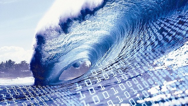 诺基亚,新希望六和