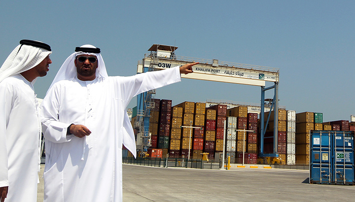 集装箱,中远集团