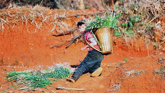 大事,十三五,中国,舆论氛围,开局,盘点,功能,从中央到地方,责任编辑,批复