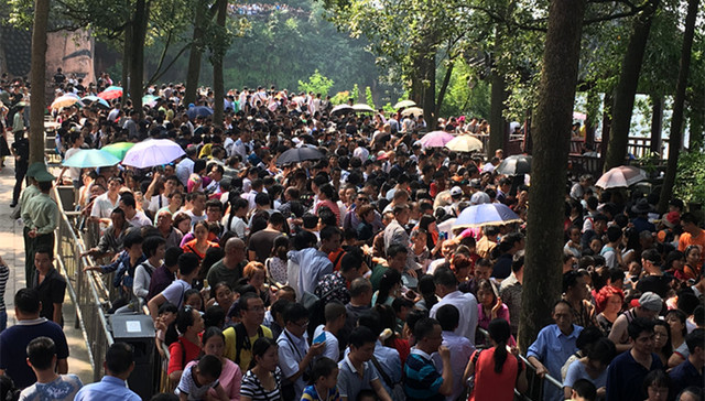 电信诈骗,,景区,,喀纳斯,,失联，乌兰察布,海水淡化,驾驶员,刑拘,乐山大佛