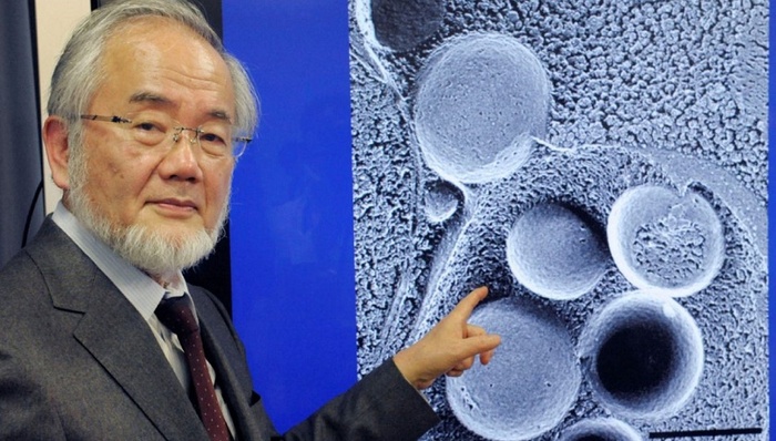 诺贝尔奖,天下故事