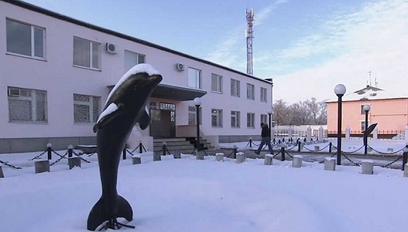 darr,俄罗斯,国家地理,监狱生活,海豚,恐怖分子,Dolphin,朋友的妻子,食人魔,私藏