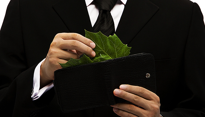 多家公司转型抢入环保业