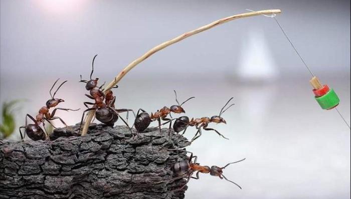 创新,德鲁克,沃尔玛,宝马,腾讯,山姆•沃尔顿,西尔斯,颠覆式创新,亚当•斯密,麦当劳,柯达