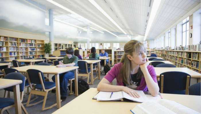 男女平等,大学,报告大人