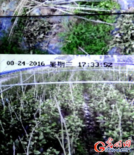 【网络媒体走转改】弘扬长征精神 探寻革命老区脱贫致富“秘籍”