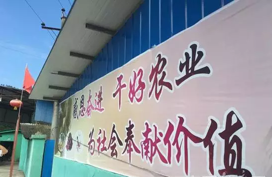 茶园,下乡的味道,定制,曾守福,乡村旅游开发,扶贫开发,扶贫模式,品牌授权,品牌宣传,农产品