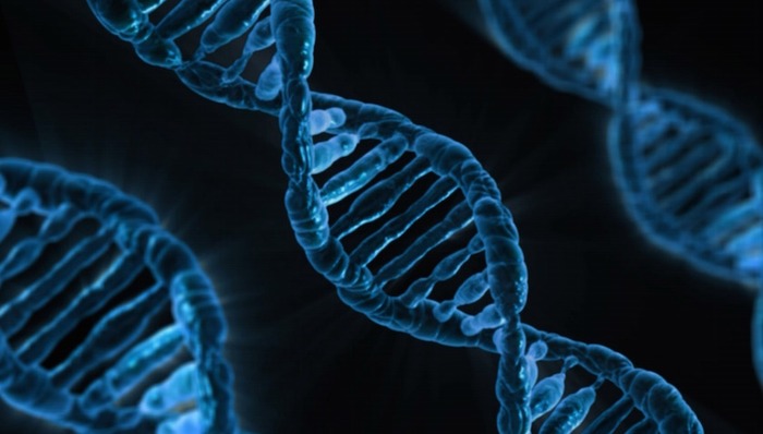 韩春雨，自然-生物技术