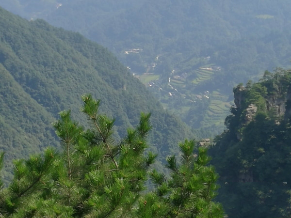 玫瑰,走转改,新长征,长征精神,初心,网络媒体,延安新闻纪念馆,长征胜利,十二军,长征路