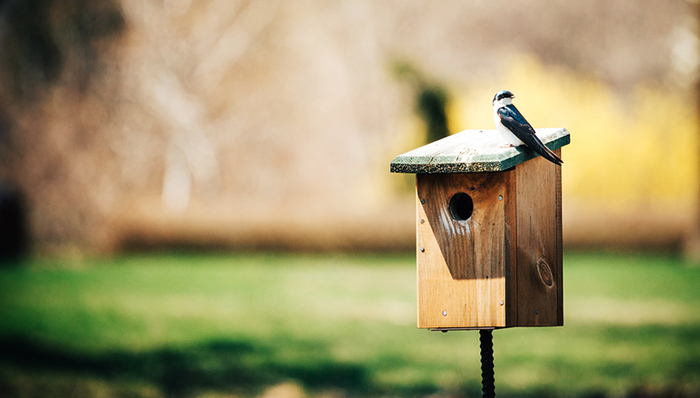 央行,商业银行,房贷,一行三会
