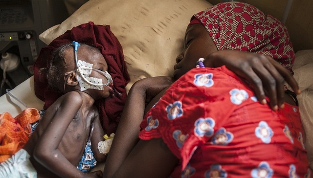 尼日利亚300万人面临饥荒威胁 有人靠吃草和蝗虫充饥