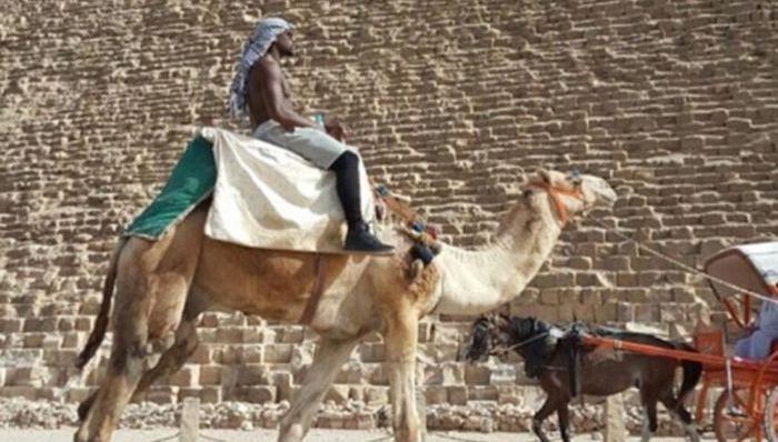 飞到埃及骑骆驼 梅威瑟炫富般的退休生活仍在继续