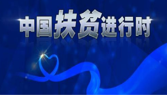国际消除贫困日,贫困地区,教育发展水平,发展生产力,发展教育,致富,下愚,全面小康社会,农村贫困,农