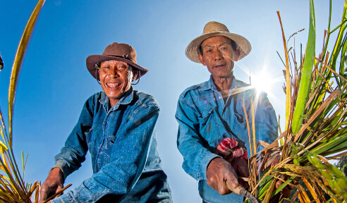 总书记,深爱,人民群众,浮士德,许江,重走长征路,知青,深入生活,农民,铁凝
