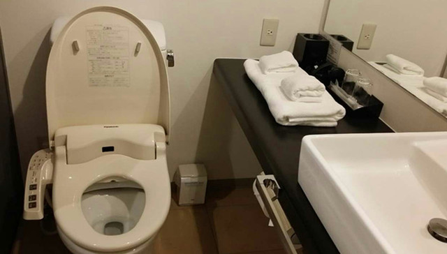 日本,马桶盖,游客