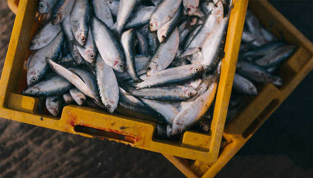 创业者,应用市场