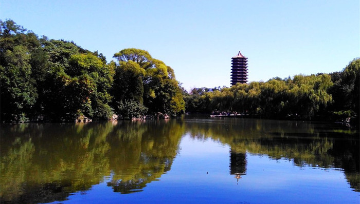 巴西龟,北大,未名湖