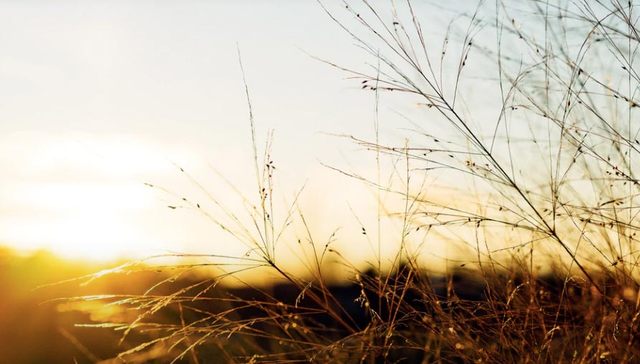 KPMG&CB Insights数据报告：虽然VC寒冬仍在，但IPO市场可能快要复苏了