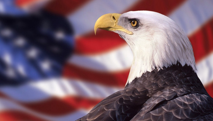 美国大学,野鸡大学