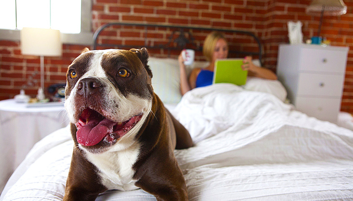 纽约或在下周签署短租禁令