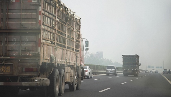 成都高速路牌指向重庆引到断头路，官方称尽快遮挡“预告”牌