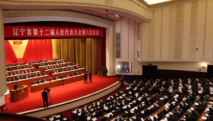 满族,姜群,齐赛,第十二届,代表资格,人民代表大会,省人大代表,选举单位,人员名单,王峥嵘