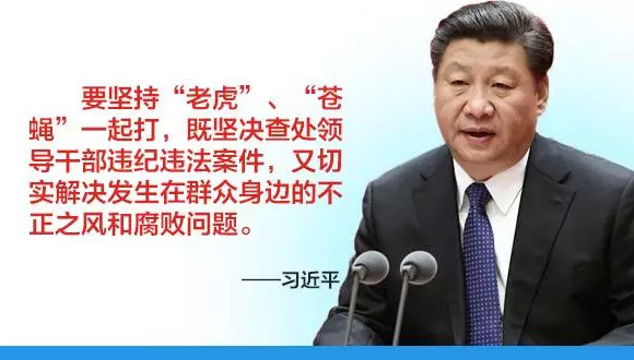 习近平,苍蝇,刮风,反腐风暴,从严治党,纽约时报,刑不上大夫,反腐败,党内权力,纸牌屋